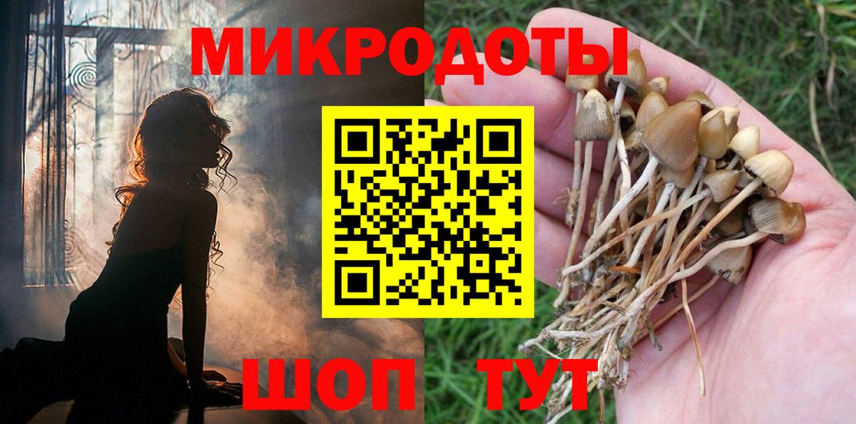 Касимов  Галлюциногенные грибы Psilocybine cubensis  Вход с VPN  Галлюциногенные грибы прущие грибы 